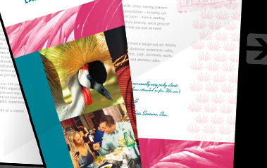 Interactive Flip-Book